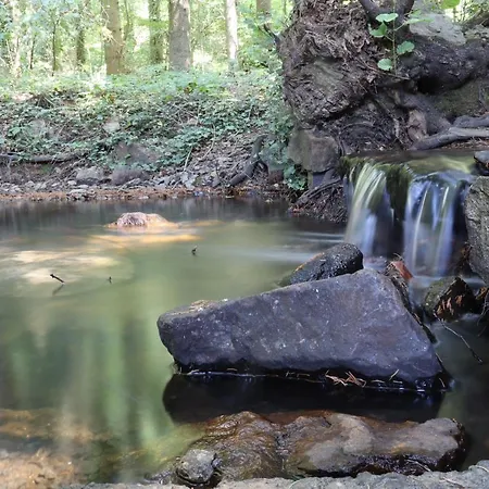 Bio-ferienhaus-eifel Vakantiehuis *