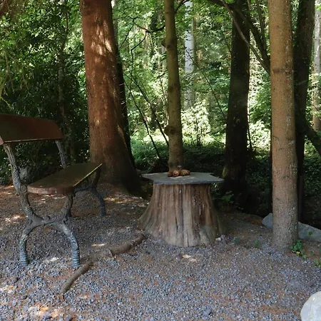 Bio-ferienhaus-eifel *