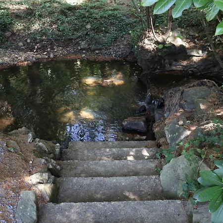 Bio-ferienhaus-eifel Rott (Eifel)