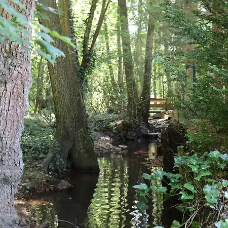 Bio-ferienhaus-eifel * Rott (Eifel)