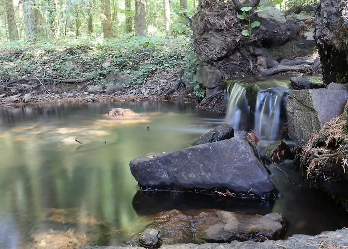 Bio-ferienhaus-eifel Nyaraló *