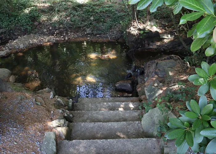 Bio-ferienhaus-eifel Rott (Eifel)