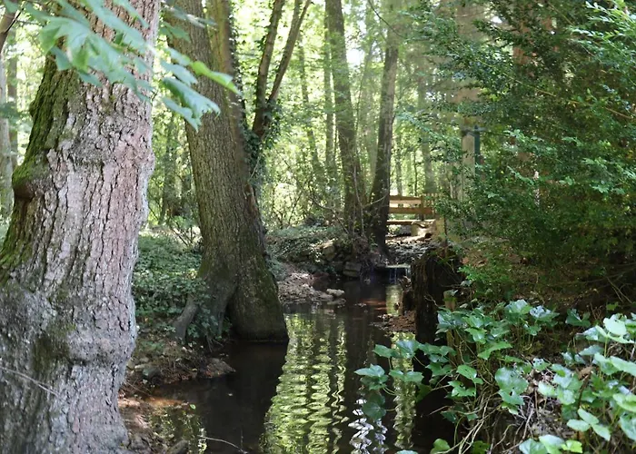 Bio-ferienhaus-eifel * Rott (Eifel)